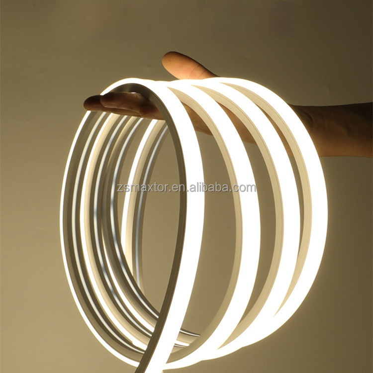 Wholesale Custom 10*10mm Silicone Flexible Diode Neon LED Lights Landscape Application with IP68 Rating