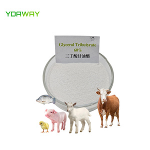 Tributirato de Glicerilo en Polvo y Gránulos de Grado Alimenticio 60% 95% - Product Image 2