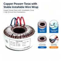 Transformateur toroïdal en cuivre pur à enroulement de précision 50/60 Hz 110 V/240 V pour amplificateurs haute fidélité et alimentations à découpage