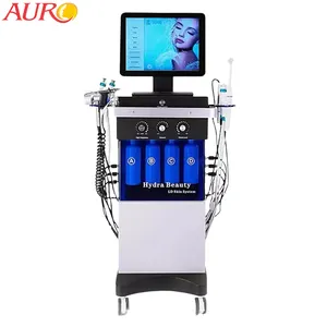 Máquina de descamação facial de diamante ioga 14 em 1, máquina hidro de cuidado com a água para hidratação facial