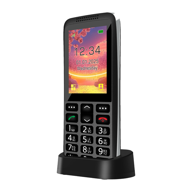 D119  Low Price Cellphone Senior Bar Phone, SOS Emergency Call / GPS Location / Big Button