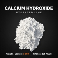 Hydroxyde de calcium hydraté de qualité industrielle Ca(OH)2 95% min en poudre pour la désulfuration des gaz de combustion