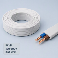 Fil électrique plat BVVB en cuivre pur, câble de construction en PVC, conducteur solide