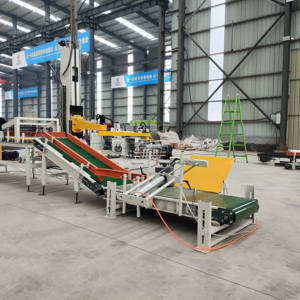 เครื่องจัดเรียงพาเลทอัตโนมัติ <span class=keywords><strong>YSX</strong></span> สำหรับถุงและกล่อง: ใช้งานง่ายและรองรับหลากหลายรูปแบบ - Product Image 1