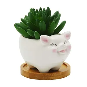 Cute Animal Pig Shaped Ceramic Cactus Flower Planters Succulent Pots with Bamboo Tray