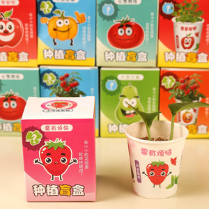 Caja Sorpresa de Plantas, Mini Plantas en Maceta, Semillas de Frutas, Jardinería Interior, Regalo para Niños, Tema de Fresas, Decoración Verde para Escritorio - Product Image 5