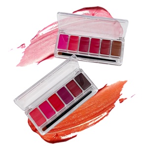Paleta de Labiales en Crema de 6 Colores, Marca Privada, Larga Duración, Alta Pigmentación, Maquillaje Labial con Pincel - Product Image 6