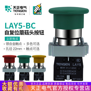 Tengen Mushroom Head <b>Push</b> <b>Button</b> <b>Switch</b> LAY5-BC31 Green 22-Hole Self-Reset IP40 - Product Image 5