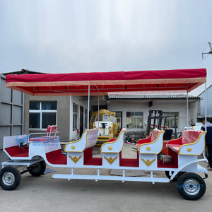Chariot de tourisme à chevaux en promotion – Plusieurs styles, chariot royal de tourisme de haute qualité - Product Image 5