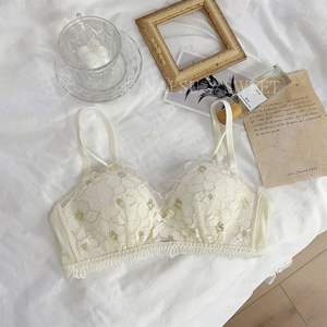 Güneydoğu asya sınır ötesi iç çamaşırı kadın küçük göğüs Push-up ayarlanabilir anti-sarkma çapraz güzel geri dantel seksi sutyen Cov - Product Image 6