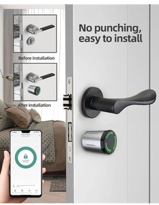 IP65 Waterproof Euro Smart Cylinder <strong>Lock</strong> RFID Card Tuya Ttlock Replace No Drilling Digital Smart Cylinder Door <strong>Lock</strong> - Product Image 3