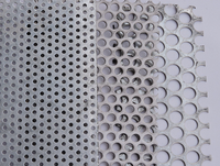 Maille Métallique Perforée en Acier Inoxydable pour l'Industrie Minière, Personnalisation Directe Usine