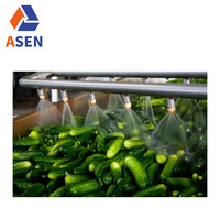 Automatische Fruitgroente Luchtbel Wasmachine Groente Droogmachine Fruit En Groente Waslijn