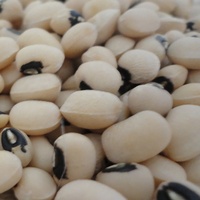Nihewan Haricots secs aux yeux noirs Petit prix du haricot de niébé blanc Haricots aux yeux noirs