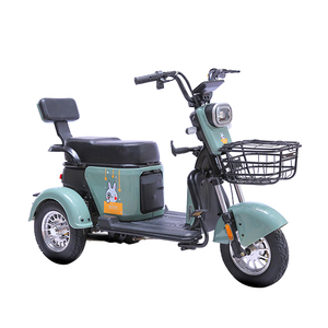 Paige 800W Rickshaw Eléctrico Plegable para Adultos, Motocicleta Triciclo, Taxi, Triciclo Eléctrico de 3 Ruedas - Product Image 5