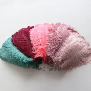 Wholesale Price Dyed Color Decorative Cheap Ostrich Feathers Plume Bulk for Wedding Party Carnival