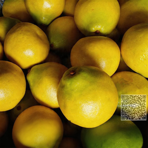 Modèle d'Yuzu Artificiel <span class=keywords><strong>de</strong></span> Qualité Commerciale pour Affichage Commercial en Magasin, <span class=keywords><strong>Fruits</strong></span> Simulés <span class=keywords><strong>Haut</strong></span> <span class=keywords><strong>de</strong></span> <span class=keywords><strong>Gamme</strong></span> pour Décoration Artistique <span class=keywords><strong>de</strong></span> Magasin Thème Exotique - Product Image 5