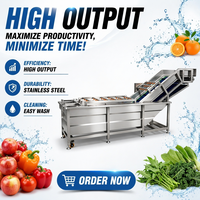 Hoge capaciteit roestvrijstalen food grade volautomatische multifunctionele groente- en fruitbelwasmachine pomp hoog