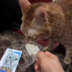 ขนมแมว<span class=keywords><strong>แช่</strong></span><span class=keywords><strong>แข็ง</strong></span>รูปไอศกรีม รสไก่และนมแพะ แบรนด์ส่วนตัว - Product Image 3