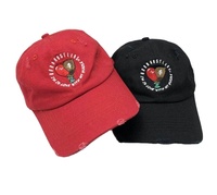 Gorro de Polo desgastado para hombre y mujer, gorro de Polo desgastado de alta calidad, Logo personalizado bordado