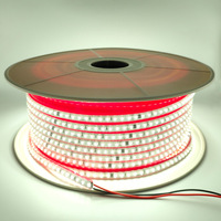 Bande lumineuse 120LED SMD 2835 sans conducteur 100M AC 110V 220V Bande lumineuse LED flexible étanche Blanc chaud 6000K IP67 Commutateur WIFI