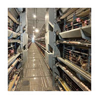Cages à poules pondeuses de type H, type A, en acier galvanisé, cages à volailles automatiques neuves Tianrui