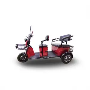 Fashion 2 Seater 3 Wheel Electric Scooter For The Disabled The Three Wheelers