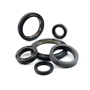 SiPaiTuo Sealing carbon fiber filled 304 spring energized ptfe lip seal Peek Seal Ring