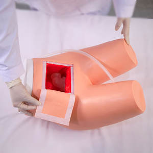 Menselijke Patiëntensimulatoren Die Manikins Klysma En Ondersteunde Ontlasting Trainen Medisch Onderwijsmodel - Product Image 4