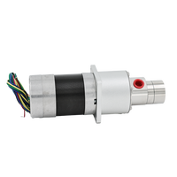 Pompe à engrenages micro à entraînement magnétique 0,6 ml/rev, en acier inoxydable 316L, avec moteur sans balais 57 pour le dosage de l'encre, des pigments et des colorants, transfert de précision, OEM