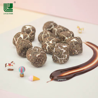 Chaoan Luyuan, Certificado ISO22000, OEM, Malvaviscos Liofilizados con Recubrimiento de Chocolate, Barra Sólida de Caramelo, Delicias Dulces, 12 Unidades