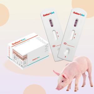 Sabervet 도매 빠른 테스트 아프리카 돼지 열병 Asfv 빠른 테스트 - Product Image 1