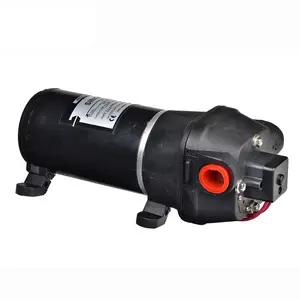 Singflo FL-30 12V dc motor 10L/min dc motor self priming propumps rv water pump