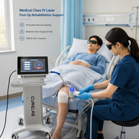 Système de thérapie laser à diode haute puissance de classe IV, appareil de physiothérapie pour cliniques vétérinaires équines, fermes équine, distributeurs