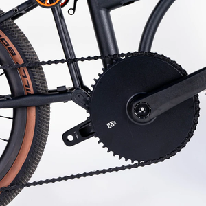 HEXATI T20 edición juvenil, aleación de titanio aerodinámica completa, 12 velocidades, bicicleta <span class=keywords><strong>Brompton</strong></span> G line de titanio aerodinámico completo. - Product Image 6