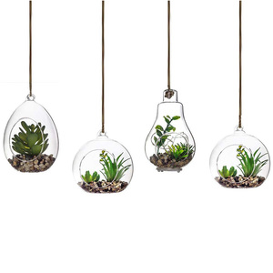 Vaso a Sfera Trasparente, Terrario in Cristallo per Piante Grasse e Aeree, Vaso da Parete in Vetro Soffiato a Mano Ecologico - Product Image 2