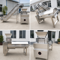 Volautomatische Granaatappel Passievruchtzaad Maken Machine Voor Het Plassen Van Zaaimachine Die Het Schillen Van De Zaadextractiemachine Scheidt