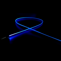 Kit d'éclairage LED pour escaliers en fibre optique, câble optique à éclairage latéral pour la décoration des couloirs, auditoriums et escaliers de cinémas