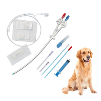 Kit de cathéter à double lumen pour hémodialyse vétérinaire Offre Spéciale cathéter de dialyse à triple lumen fiable médical temporaire