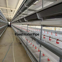 Équipement d'alimentation centralisé, conception modulaire, cage d'élevage de poulets pour une utilisation professionnelle dans les élevages avicoles