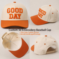 Gorra de Béisbol Clásica de Dos Tonos con Visera Curva, Logotipo Bordado Personalizado para Ropa Deportiva, Venta al Por Mayor