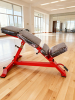 Banc de musculation universel réglable pour exercices verticaux, abdos, curls biceps et déclinaisons