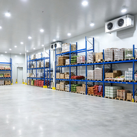 Contenedor Refrigerado Tipo Congelador con Unidad de Condensación de Corriente Continua para Almacenamiento en Cámaras Frigoríficas y Transporte de Alimentos Congelados