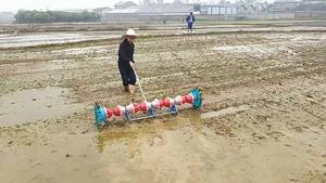 Hiệu quả cao Hướng dẫn sử dụng Paddy gạo planter nhỏ trồng lúa - Product Image 6