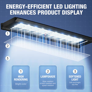 Réservoir d'aquarium de fruits de mer vivants de homard commercial King Crab Réservoir de fruits de mer vivants Aquarium de fruits de mer silencieux multicouche - Product Image 3