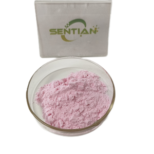 Échantillon gratuit Organique Bonne Saveur Acérola Cerise Fruit Poudre 17% Vc Soluble Dans L'eau Acérola Cerise Extrait Malpighia Glabra Extrait - Product Image 1