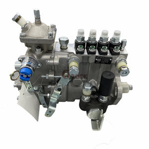 Bomba de Inyección de Combustible Wuxi Weifu 4PL220 BHF4PM100003 para FAW 1041 - Product Image 1