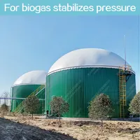 10 Kw 소형 Biogas 발전소 반응기 Biogas 혐기성 소화자/Fermenter/Producer Biogas 발전소