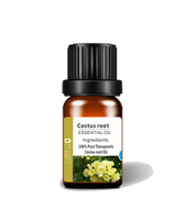 Extrait d'herbe traditionnelle chinoise Radix Aucklandia, huile essentielle de racine de Costus, huile de Costus pure