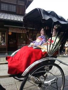 Rickshaw Romántico y clásico Rickshaw Venta caliente de alta calidad Rickshaw negro de dos filas - Product Image 5